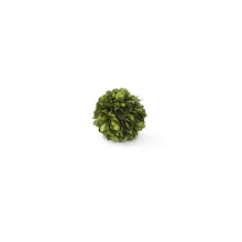 Load image into Gallery viewer, Preserved Boxwood Mini Ball