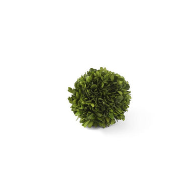 Preserved Boxwood Mini Ball