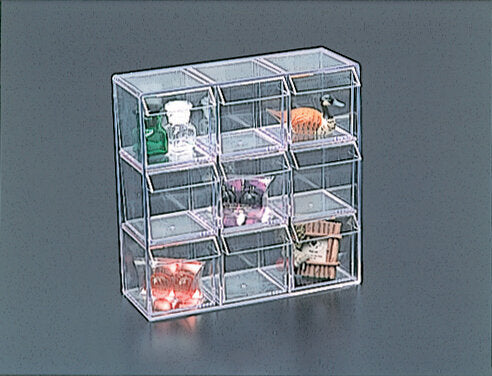 The Capacity 9 Compartment Organizer with Inserts