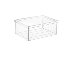 Clear Looker Boxes Silver Trim W/Lid