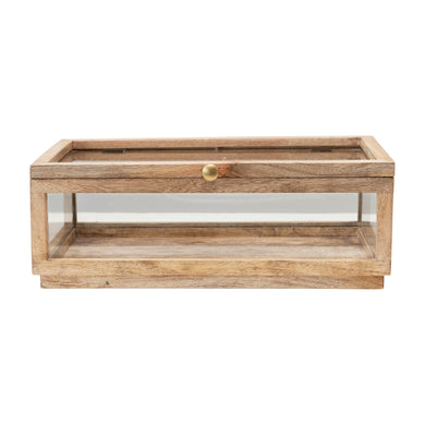 Mango Wood Display Box w/ Lid